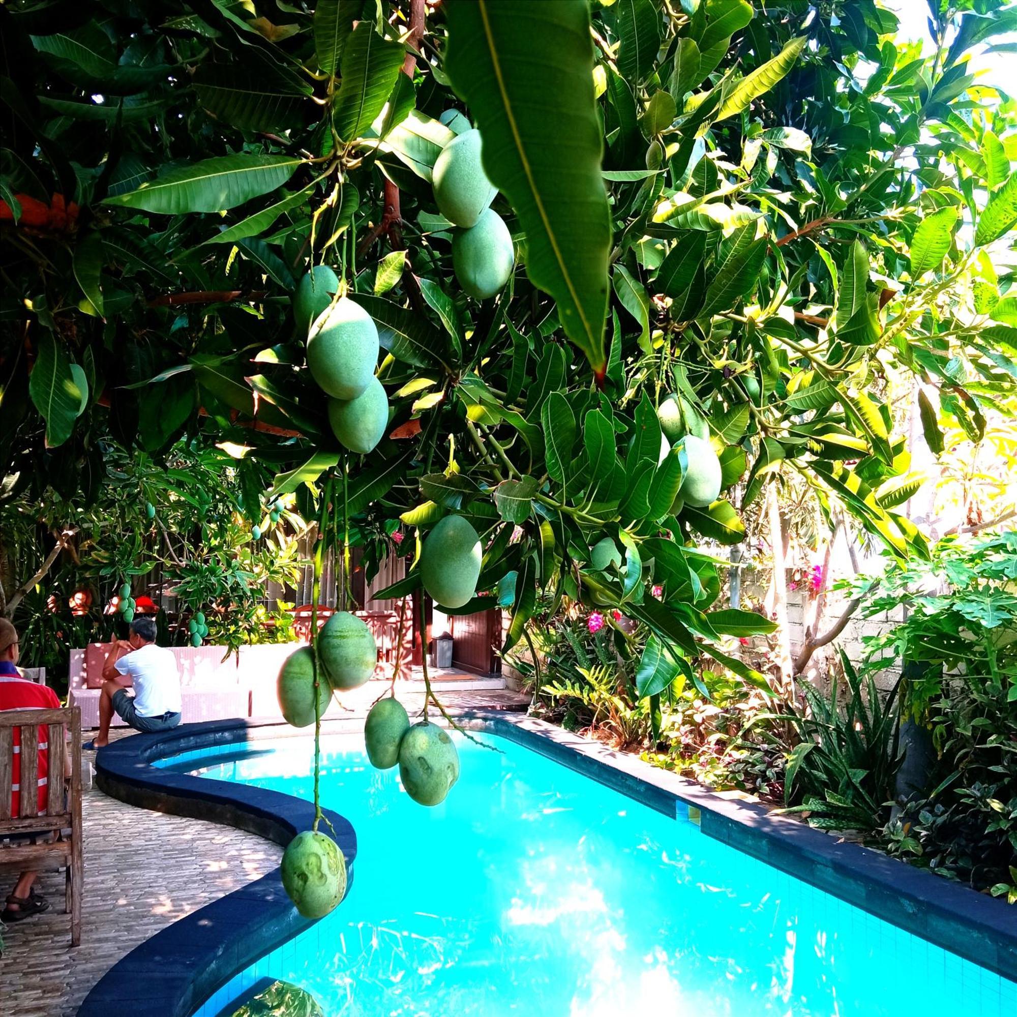 Giliranta Hotel Gili Trawangan Bagian luar foto